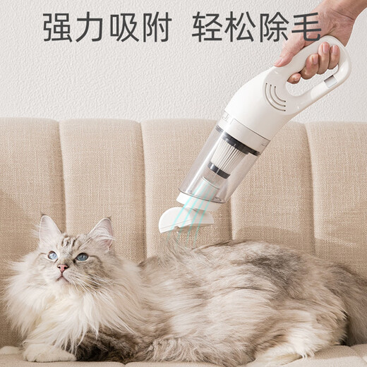 Nervous cat pet hair extractor electric cat hair cleaner cat and dog hair vacuum cleaner hair removal adsorption bed carpet short handle hair extractor (black) + 2 original filters