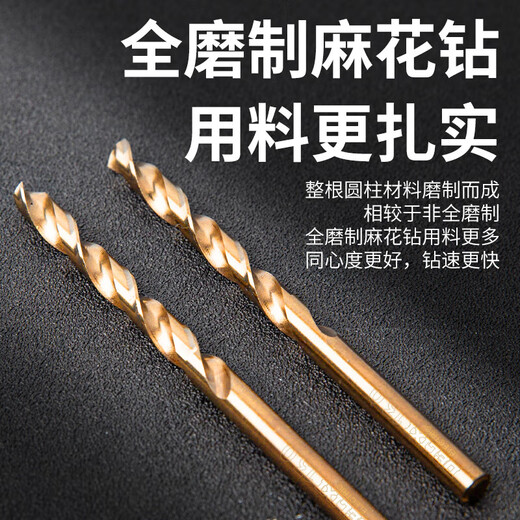 DELIXI ELECTRIC high hardness twist drill bit stainless steel alloy steel toughness high speed steel drilling DLX-042 4.0mm