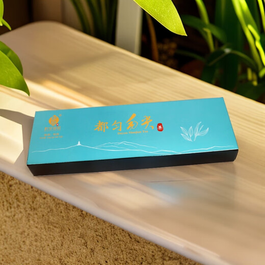 Tea Sanye 2024 Guizhou Tea New Tea Duyun Maojian Leaf Strong Fragrance Type Cloud Mist Spring Tea Loose Box 60g*2