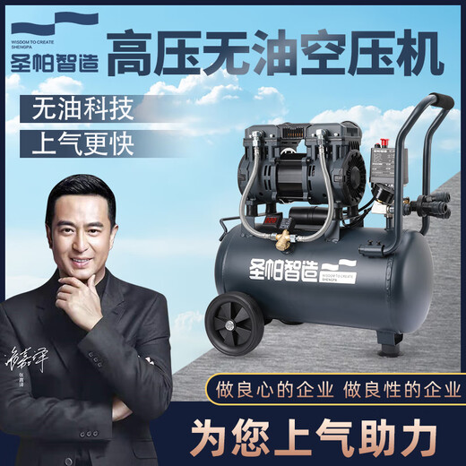 圣帕空压机气泵空气压缩机静音小型打气泵高压无油工业级双缸木工 圣 圣帕1390W机头(单机头)