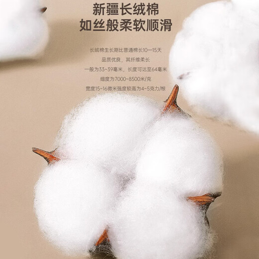 Langsha Autumn Clothing and Autumn Pants Men's Pure Cotton Suit Round Neck Cotton Sweater 5A Antibacterial and Anti-mite Thin Bottoming Thermal Underwear