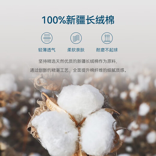 Shirushi long-sleeved shirt for men, thickened and warm, autumn and winter men's flannel brushed non-iron shirt SS02-02 light gray-regular version 40