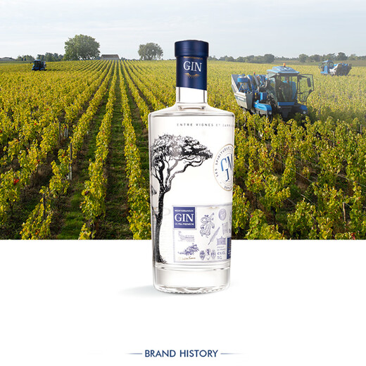 积穆（GM）优质金酒法国蒙彼利埃烈酒原瓶进口洋酒调酒基酒 GM积穆优质金酒 700mL 1瓶