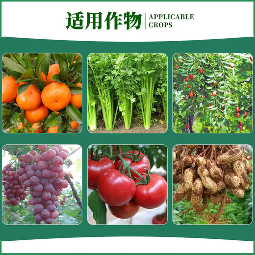 0.1% triacontanol, special pesticide and plant growth regulator for fruit trees, field vegetables and crops 500ml*1 bottle