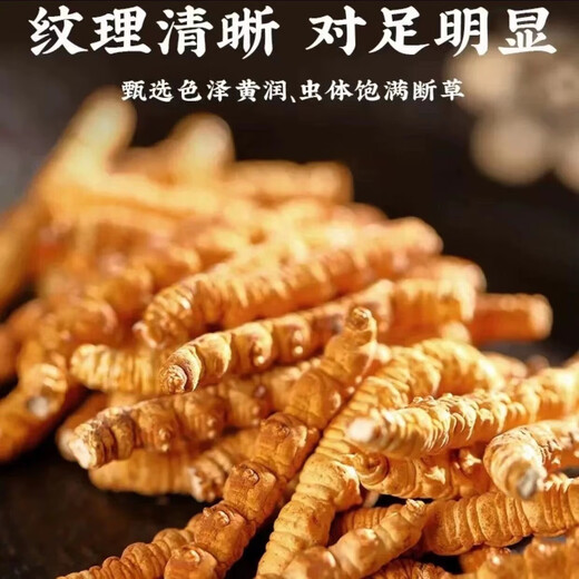 西藏直发那曲高海拔冬虫夏草断草新干断虫草精选大断自用实惠礼盒 那曲精选大断草【20克送2克】