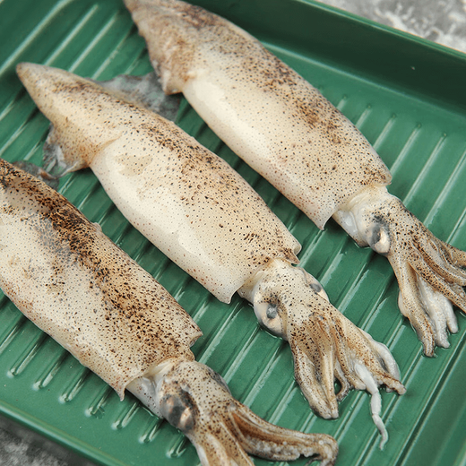 Chilled red squid 250g (6-10 pieces)