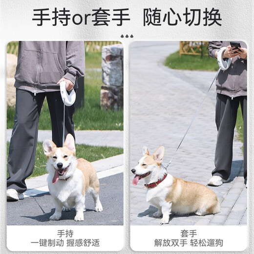 Huayuan Pet Tools (hoopet) dog lighting traction rope, automatic retractable dog walking rope, explosion-proof chain rope, dog leash, medium and small dog walking supplies, super new product, retractable traction rope with light