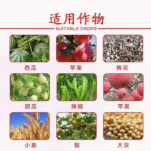 Junyan soil loosening essence loosens soil and improves soil activator to break hardening and no deep tillage conditioning saline-alkali improver 500g*1 bag