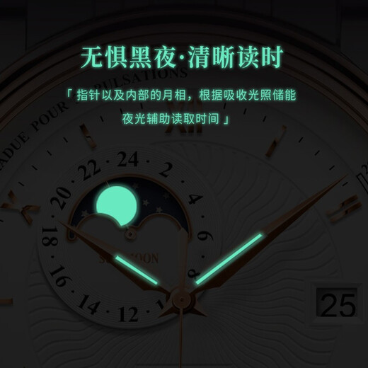 瑞士认证罗宾尼（LOBINNI）男士手表男机械表全自动镂空夜光防水日月星辰德国品质瑞士风格男表礼物 【锋芒系列：皮带款】全银壳白面【5010】