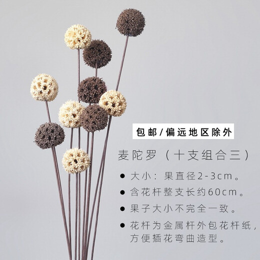 美学黑客客厅插花干花花束真花混搭落地摆设餐厅桌面松果装饰天然拍照道具 麦陀罗2色混色10支