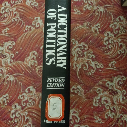 Vergriffenes altes Buch EIN WÖRTERBUCH DER POLITIK