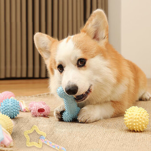 HOUYA dog toys bite-resistant macarons 4-piece set of molar sticks small dog puppies ball corgi to relieve boredom pet supplies