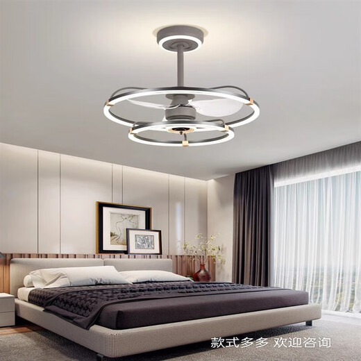 Er Jiangong Deckenlüfter Käfig 2023 Leichte Luxus-Schlafzimmer Wohnzimmer Esszimmer Lüfter Restaurant Elektrische Lüfter integriert Custom 9195 Black Absorbing Model + Drei-Farben-lichtveränderte Fernbedienung