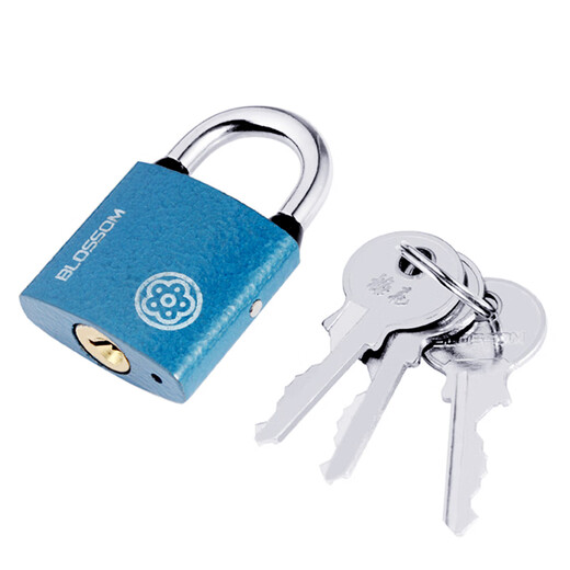 
Plum BlosSOM Padlock Copper core anti-rust lock Indoor and outdoor waterproof door lock Anti-theft household lock 38MM blue BC2938