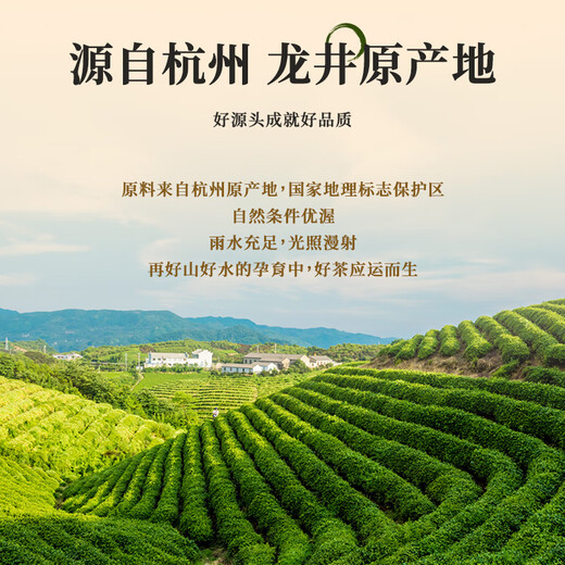 Erster Jiangnan 2025 neuer Tee Green Tea Longjing 200g Mingqian Tee Geschenkbox Konserven Frühling Tee Sprout