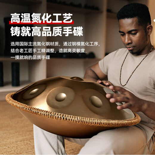 白龙吟Handpan手碟鼓乐器D小调打击乐器入门级初学专业手碟9音10音12音 黑色 12音【专业款】