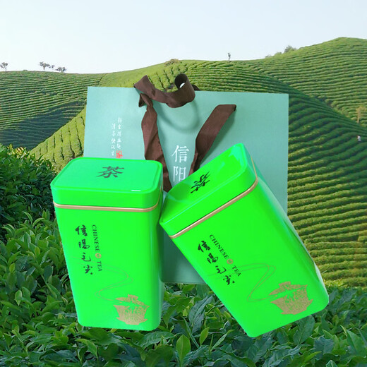 Mingshi Chunyuan origin Maojian tea wholesale fried green tea before and after the rain spring tea Xinyang Maojian 125g*1125g