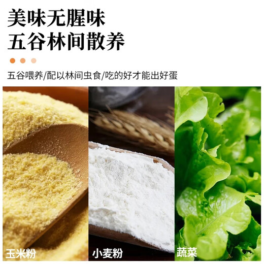 Jingxijia sterile eggs can be eaten raw 45g-50g soft-boiled eggs breakfast fresh eggs Jingdong shopping can be eaten raw 8 pieces Jingxijia sterile eggs can be eaten raw 45g-50g soft-boiled eggs breakfast fresh eggs Jingdong shopping can be eaten raw 8 pieces
