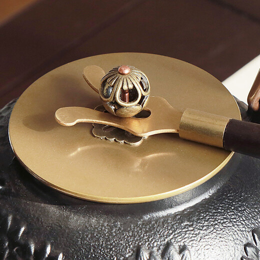 Shushi iron kettle kettle electric ceramic stove for tea making Japanese craft tea kettle handmade cast iron kettle set gift box