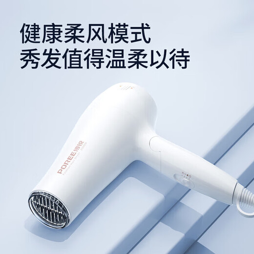FLYCO's Borui hair dryer household high-power hair dryer travel portable hair dryer hot and cold air barber shop hair salon foldable PH1626