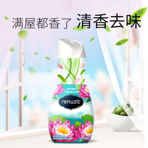 RENUZIT American Renuzit 98% natural solid air freshener deodorizes, deodorizes and removes formaldehyde, benzene aroma long-lasting, refreshing after rain 198g/bottle 1 bottle