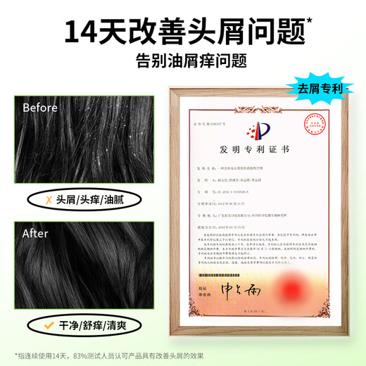 雨洁（RACLEN）洗发水舒缓止痒去屑洗发露500g持久清爽洗发液男士女士洗发膏