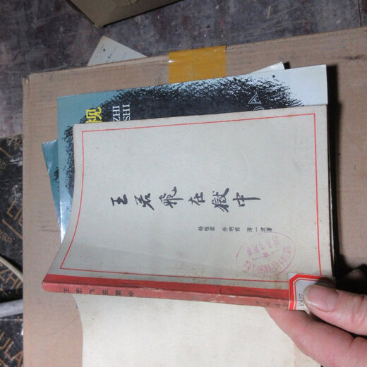 
[Out-printed old book] Wang Ruofei is in prison 16836