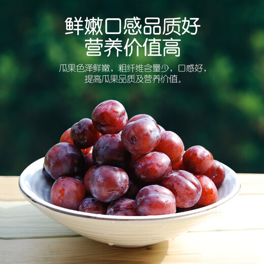 Stanley Fruit Tree Grape Watermelon Tomato Strawberry Vegetable Vegetable Planting Inorganic Compound Fertilizer Special Fertilizer 2.5 Jin Jin equals 0.5 kg