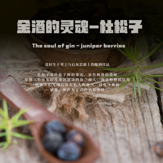 甄爱【CIWC连续两届金奖】干金酒杜松子酒洋酒调制鸡尾金汤力琴酒40° 金酒 680mL 1瓶