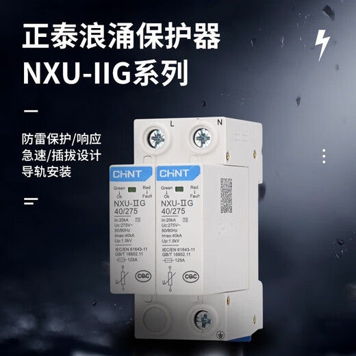 正泰（CHNT）浪涌保护器 NXU-ⅡG电源防雷器 电涌防雷开关 家用避雷器 二级 NXU-ⅡG-40kA/275V 2P