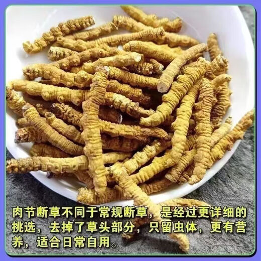 Pékin Tongrentang Authentic Cordyceps Sinensis Broken Cordyceps Grands Cordyceps Tibetan Sélection Tibetan Stew Pot 2G