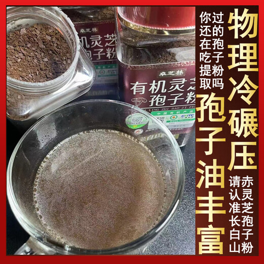 Ganoderma Lucidum Spore Powder Changbaishan Organic Linzhi Spore Powrswood Red Ganoderma Lucidum Spore Powder Hardcore anti-dur 2 canettes 250G