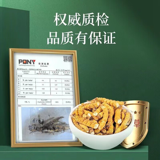 
(SF Express) Authentic Tibetan area Naqu break Cordyceps Cordyceps Cordyceps Big broken grass eats Cordyceps broken grass Authentic Tibetan Naqu whole meat festival 10 grams pack