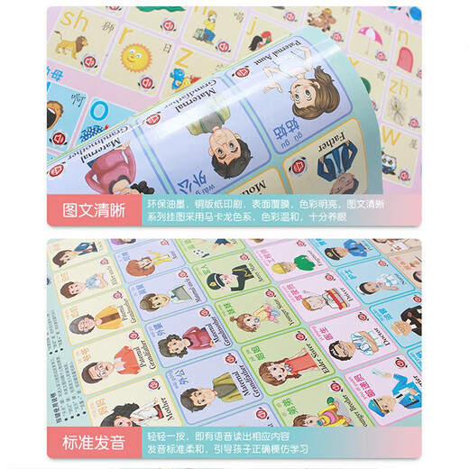 Y•S•R 奕思瑞婴儿有声早教挂图识字汉语拼音表数字英文字母看图识物儿童玩具 【启蒙认知】动物+人物+蔬果 0-3岁宝宝认知点读发声墙贴