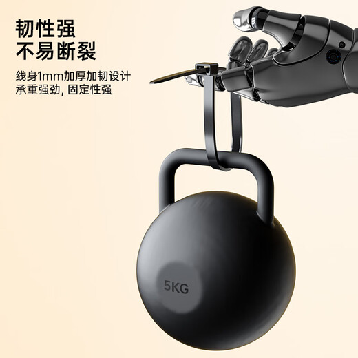 毕亚兹 自锁式尼龙扎带小号2.5*100mm 电脑主机装机 园艺 理线束线捆绑 黑色扎带固定器收紧器 100根/包