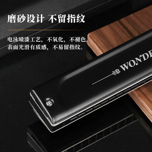 Swan (SWAN) Gongs importados de Alemania Swan Armónica de acento polifónico de 28 hoyos Instrumento de rendimiento profesional principiante avanzado para adultos Tecla F de 28 hoyos Polifonía negra mate + juego completo de regalos