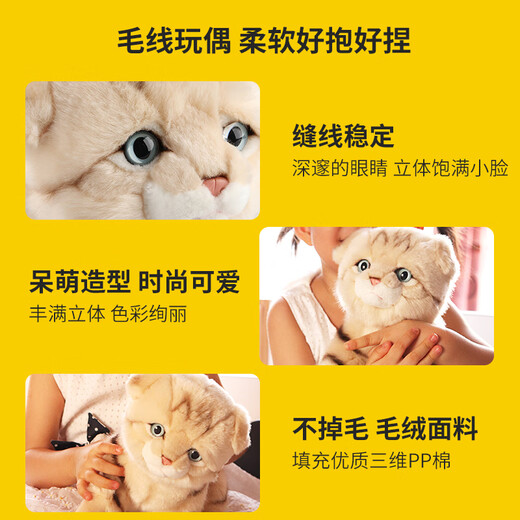 National Geographic国家地理生日儿童礼物苏格兰折耳猫毛绒玩具仿真猫咪小猫玩偶