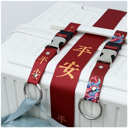 Yunpo Travel Hook portátil con bolsa de viaje para equipaje de equipaje Mochila fija Copa de agua Copa de agua Paz Ganque de gancho de gancho de gancho de gancho + 1.8 Liquidación: Paz Password Bloqueo