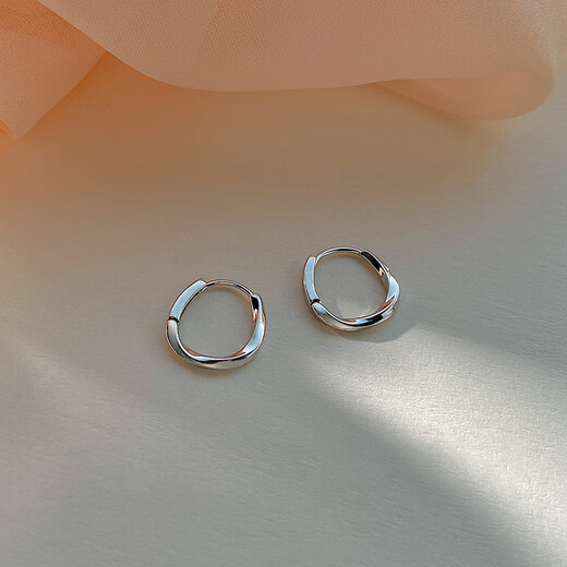 Ubis Ring Plain Hoop Earrings Women's Simple Cold Style Personalized Earrings Earrings 2024 New Earrings Gold Pair