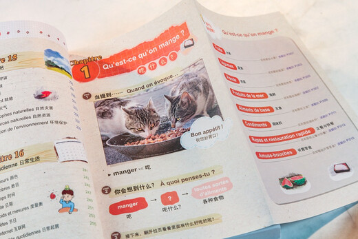 Selbstgesteuerte Mindmap, super einfach zu verwendendes französisches Wortbuch