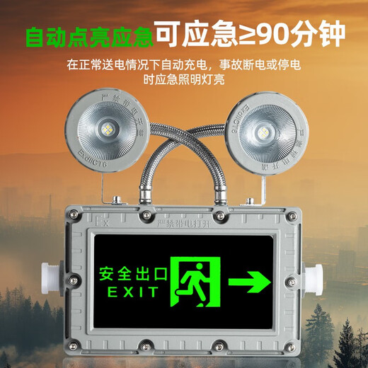 Yaming Lighting explosion-proof emergency light LED evacuation sign fire lighting gas station EX explosion-proof safety exit indicator light explosion-proof double-head emergency light-explosion-proof emergency light