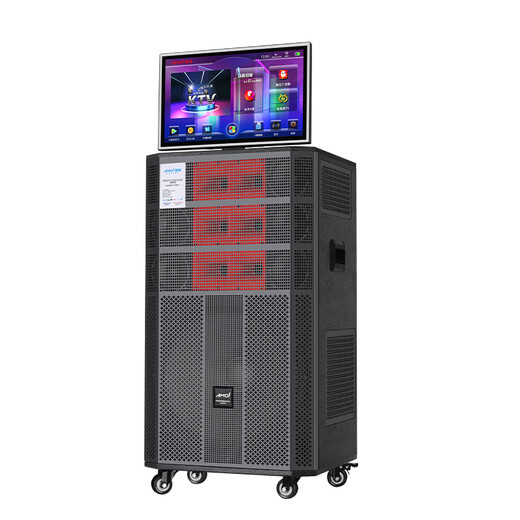 Amoi home ktv ensemble de haut-parleurs Douyin 2025 nouvel amplificateur de karaoké jukebox extérieur pour la maison tout-en-un audio de danse carrée avec affichage spectre dynamique caisson de basses 18 pouces huit voies 21 haut-parleurs mémoire 1000G