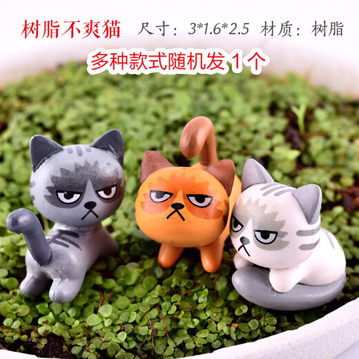 Shiguang Xiaozhan rockery bonsai ornaments decorative absorbent stone fish tank aquarium landscaping micro landscape fisherman's small house ornaments resin Grumpy Cat