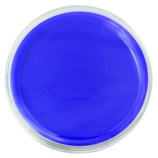 Deli Round Financial Quick Trockendruckplattform Tintenpaste, langlebig und kein Smudge 9863 Blau