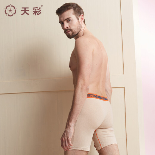Tiancai colorful cotton boxer briefs men's underwear boxer briefs men's sports pants loose leggings breathable mid-length pants 2 pairs 8136XXL