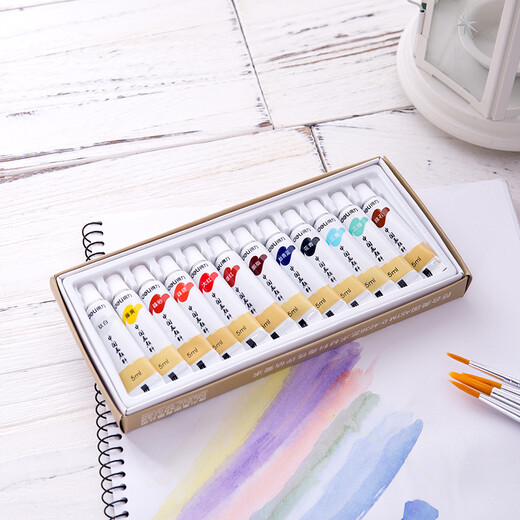 Deli (deli) 12 colors 5ml Chinese painting pigment ink landscape painting painting four treasures painting color entry set examination