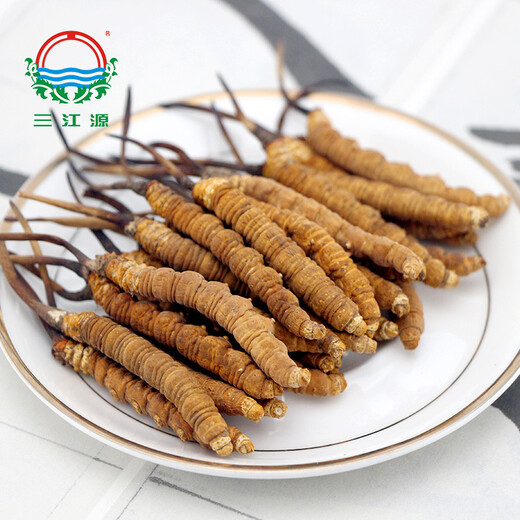 Sanjiangyuan cordyceps sinensis 4 корни/g 1 грамм 4 корни дикого кордицепса sinensis qinghai yushu cordyceps sinensis yushu, уроженец высотой cordyceps sinensis