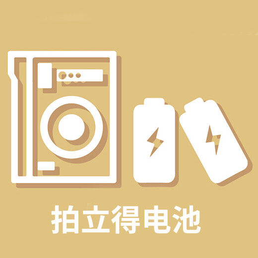 LOMOGRAPHYLomography instant film camera battery multi-model CR2 (2 pieces)