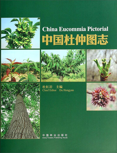 华南常见药用食用植物图鉴97875116**693