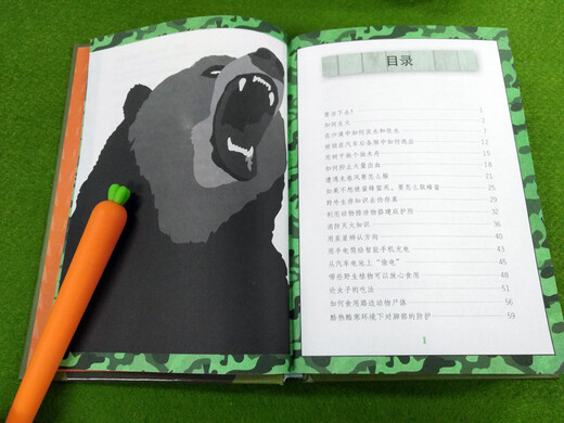 如何打败一头熊：66个野外生存技巧